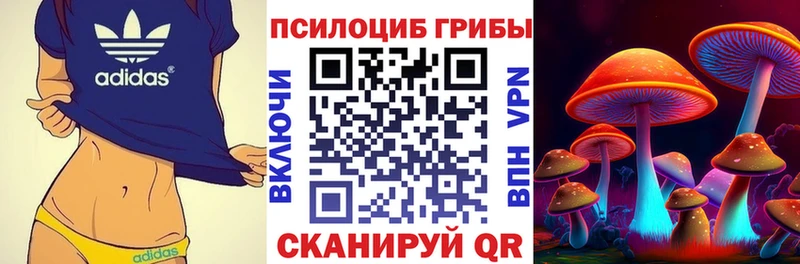 Псилоцибиновые грибы MAGIC MUSHROOMS  Котельнич 
